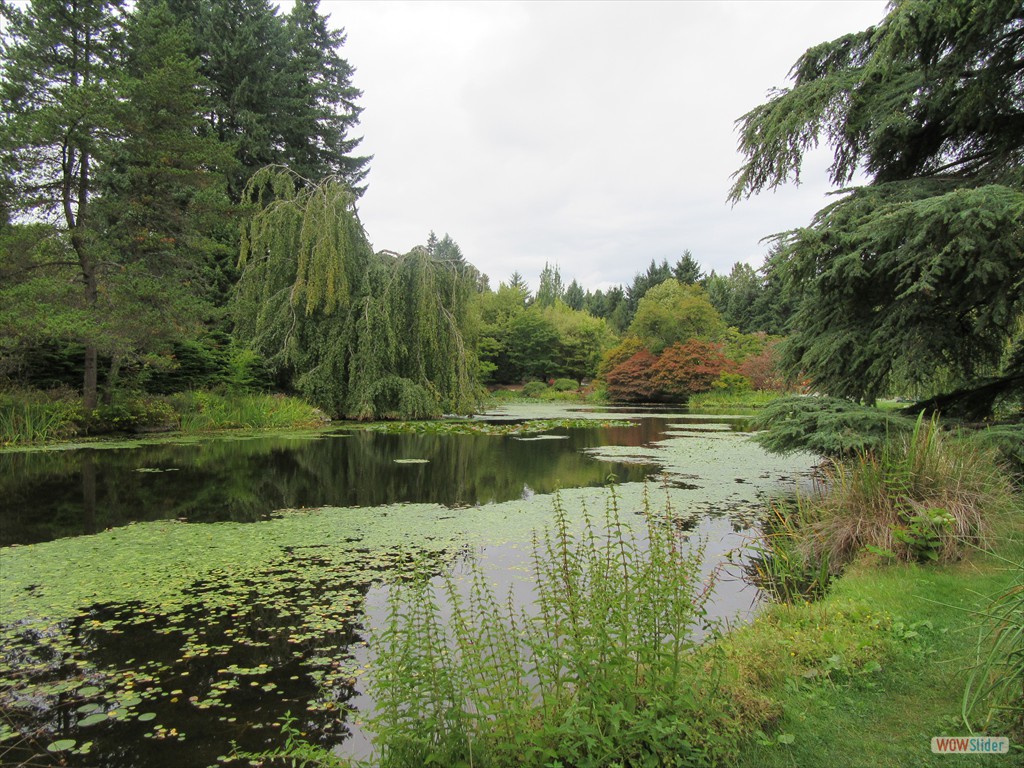 Van Dusen Botanical Gardens
